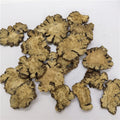 Chuan Xiong 100% Natural Rhizoma Chuanxiong/Ligusticum Chuanxiong Hort for Herb