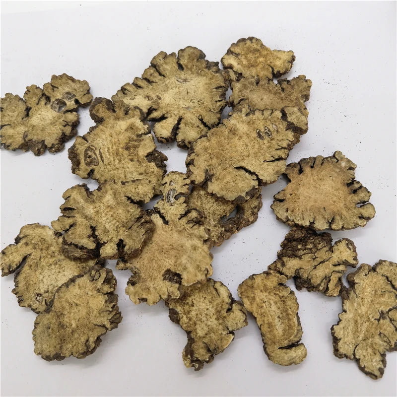 Chuan Xiong 100% Natural Rhizoma Chuanxiong/Ligusticum Chuanxiong Hort for Herb