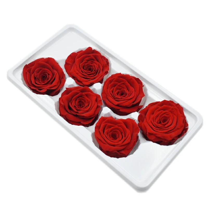 ZanTe 2022 New Preserved Real Touch Rose Head 5 - 6 CM Preserved Rose Head for Mother's Day Gifts Wedding Decorations