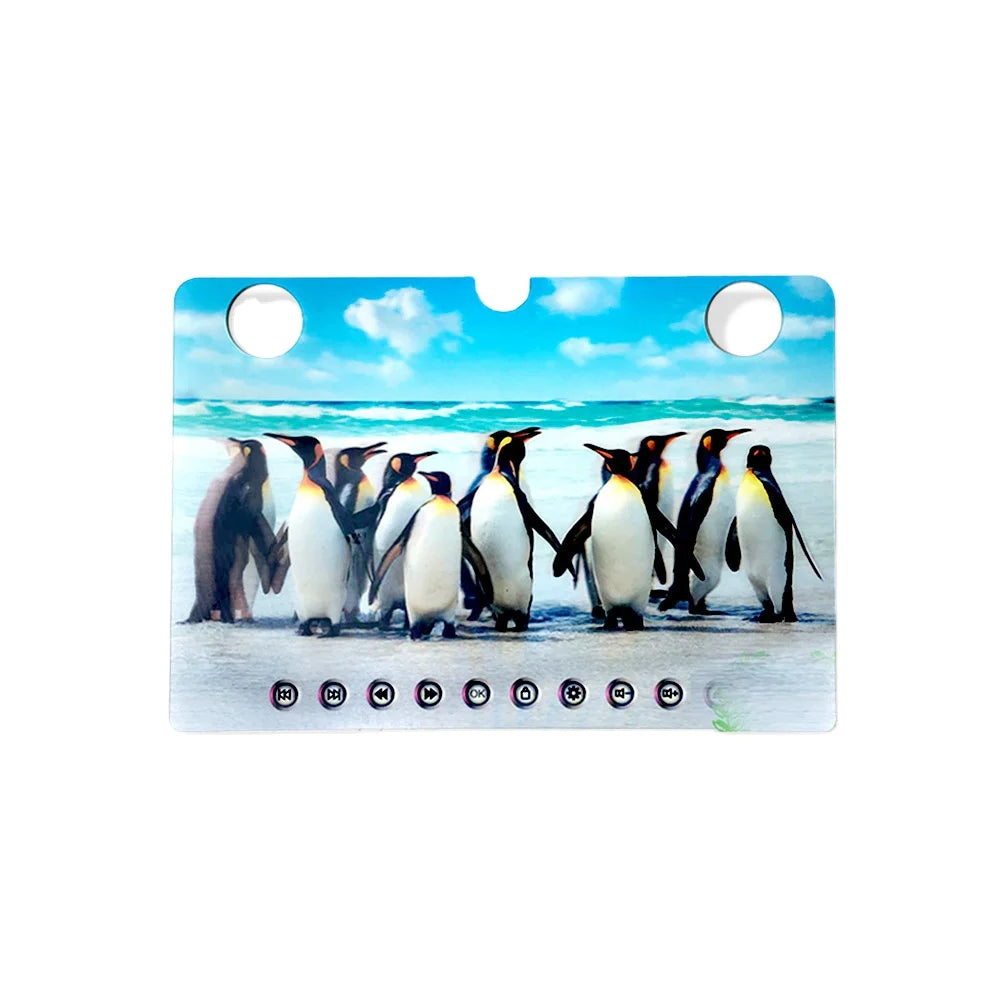 Customized Wholesale 3D Flip Lenticular Posters Printing 40cm 3d Lenticular Picture Animal 3D Flip Lenticular Picture with Frame