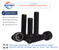 M16 Hexagon Socket Bolt DIN912 Carbon Steel Grade 8.8/10.9/12.9 Black Oxide Zinc Plated with 2 Nuts