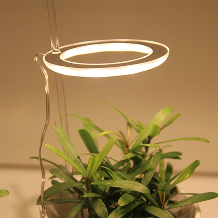 Mini Single Ring Angle Full Spectrum USB Grow Light Small Size Plant Growth Lamp LED Plant Grow Light for Indoor Plant