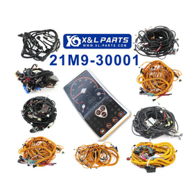 Monitor Screen Panel 21M9-30001 21M9-30101 Monitor Cluster Assy for R55-7 R55-9 R80CR-9 R60CR-9
