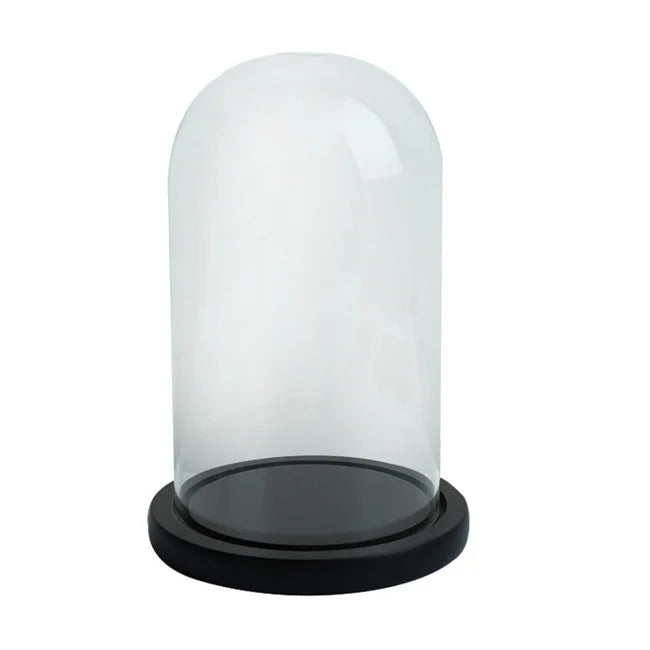 Factory Sale-Blown Glass Cloche Bell Jar Dome with Black Wooden Base Different Sizes Home Decoration Glass Cloche Dome