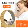 Interactive Fiber Board Wooden Exercise Mascotas Cat Exercise Running Wheel Fun Treadmill Toy Pet Cat Wheel Treadmill for Cats