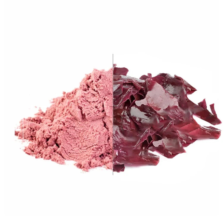Food Grade 95% Pass 80 Mesh Herbal Extract Natural Source Atlantic Dulse Powder Bone Health