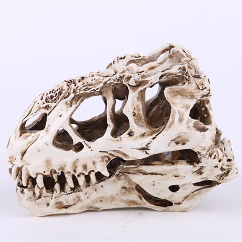 Indoor Dragon Ornament Personalized Tyrannosaurus Rex SKE16 for Skull Specimen Resin Dinosaur Reptile for Skull Head Anima