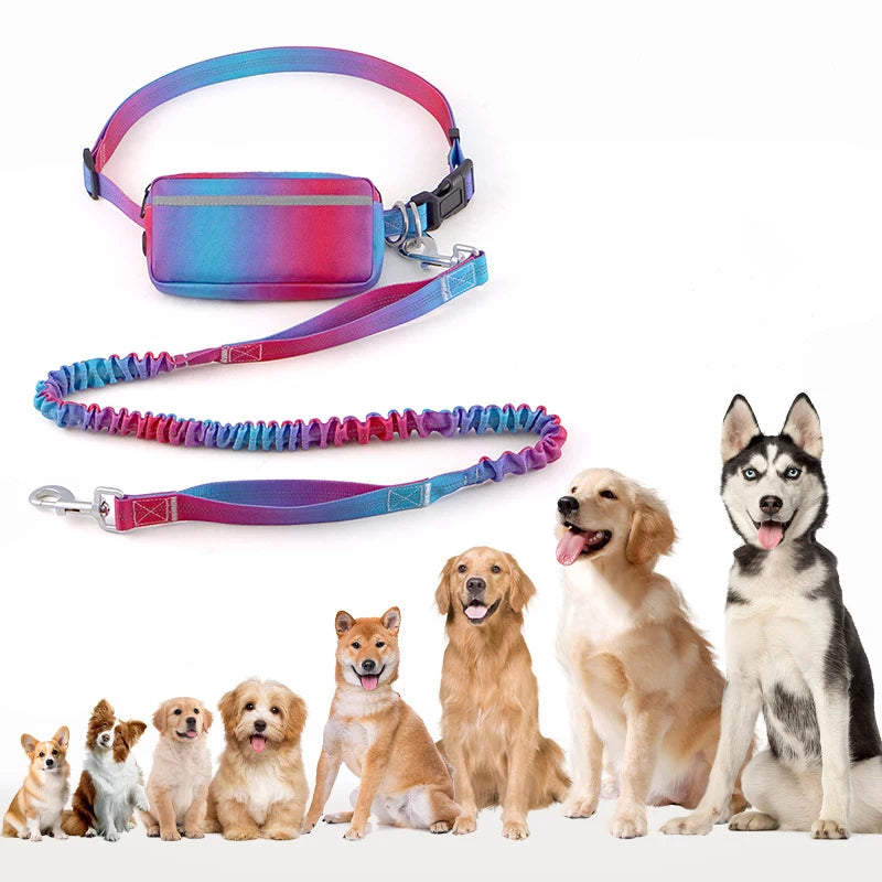 Dog Running Leash Fashion Hands Free Dog Traction Rope with Zipper Pouch Adjustable Reflective Bungee Waist Bag Pet Leash