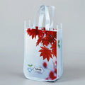 Small Reusable Tote Carryall Gym Bag Custom Logo with Graphic Print Laminated Non Woven Material Letter Pattern Style