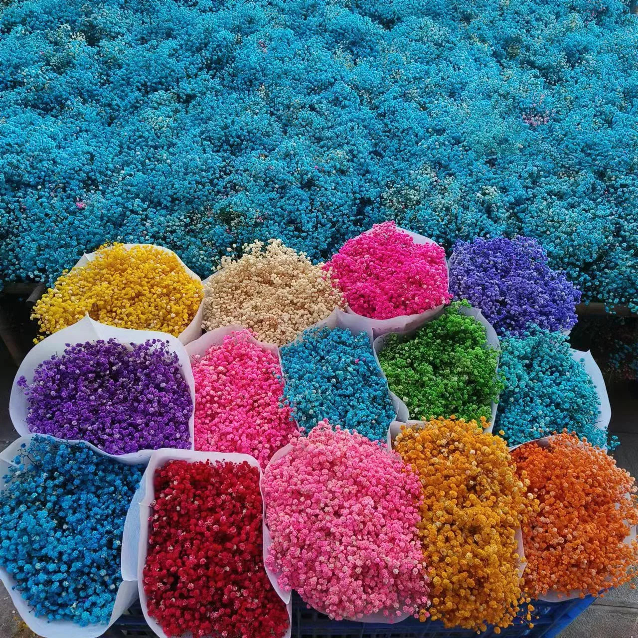 Yunnan Wholesale Handmade Gypsophila Flower Baby Star Real Touch Flower 400g for Mother's Day Graduation Easter