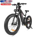 EU 1 Year Warranty 250W Big Power E-Cycle 17AH Hidden Li-battery Long Range Mountain Ebike