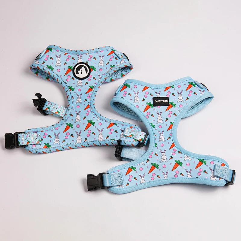 OKEYPETS Wholesale Custom Design Personalized No Pull Dog Harness and Leash Set Neoprene Dog Harness Manufacturers
