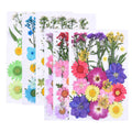 Wholesale DIY Mixed Dry Pressed 3D Real Natural Colorful Dried Flowers for Nail Art