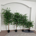 Vv313 High Quality Artificial Banyan Trees Artificial Plants Artificial Trees Green Plants Plants Pot Hotel Home Coffee Shop