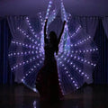 Wholesale Adult LED Light Butterfly Wings for Stage Performance Belly Dance Show Cloak