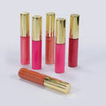 TOP Sales Customize Private Label Lip Glss Feature Tube  Multi Color Lip Gloss