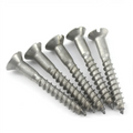 Stainless Steel SS SUS AISI ANSI 304 316 316L A2 A4 A2-70 A2-80 A4-70 A4-80 Slotted Countersunk CSK Head Wood Screw DIN97 GB100