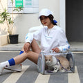 Hot Transparent Clear Pet Carry Tote Pet Carrier Bag Handbag for Cat and Puppy
