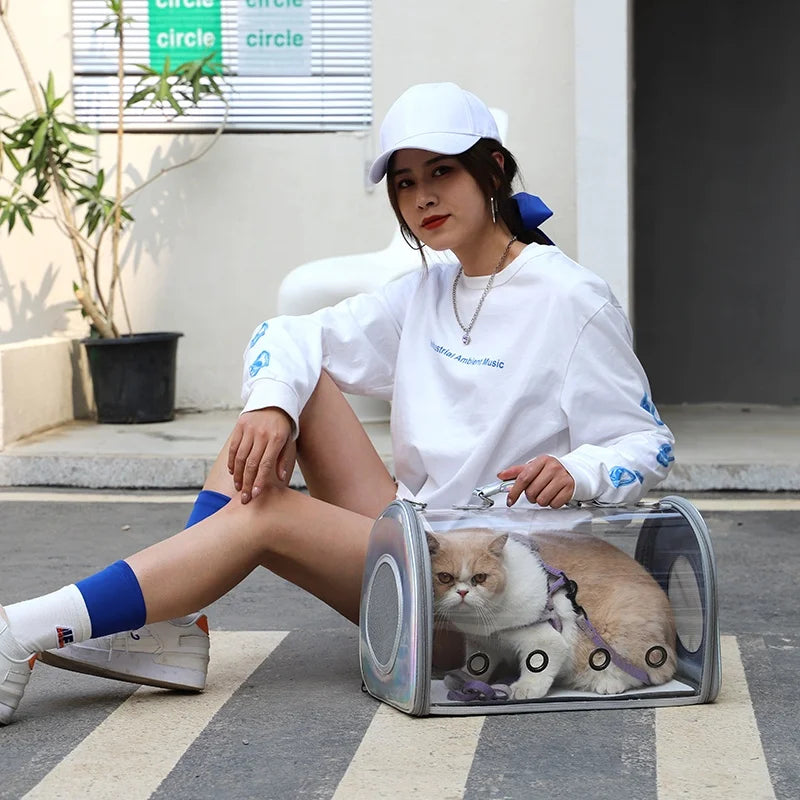Hot Transparent Clear Pet Carry Tote Pet Carrier Bag Handbag for Cat and Puppy
