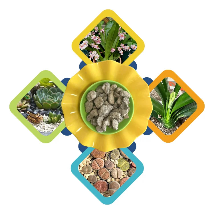 Best Sellers Pumice Stone Natural Fish tank Landscaping Water PurificationLight StonesPlant Pavement Mixed with Soil Planting