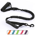 Double Handle Nylon Dog Leash with Quick Release Feature Reflective Padded Safety Traffic for Pets