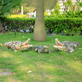 Life Size Real Resin Crocodile Statue /safari Animals crocodile Fiberglass Sculpture  /zoo Animals Handcrafts Crocodile Props