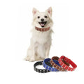 Wholesale Large Pet Hunting Collar Round Rivet Studded Customized Bulldog Dog Collar