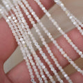 Wholesale Natural Freshwater Pearls Beads Round  Pearl Shell  Loose Beads for Jewelry Making DIY Necklaces Bracelets