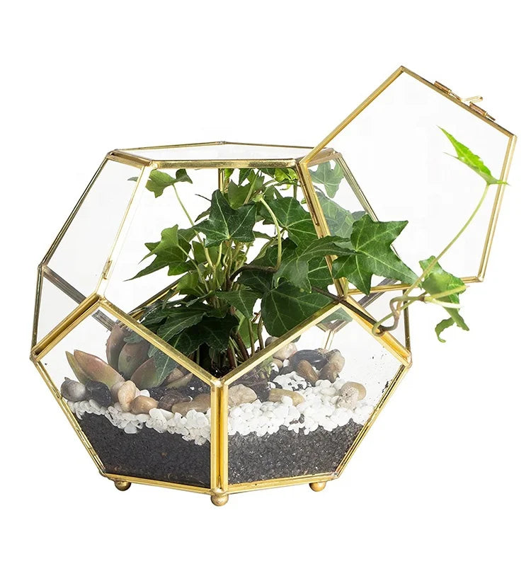 Gold Copper Brass Football Shape Glass Geometric Terrarium With Door Pentagon Ball Close Fern Moss Succulent Planter Flower