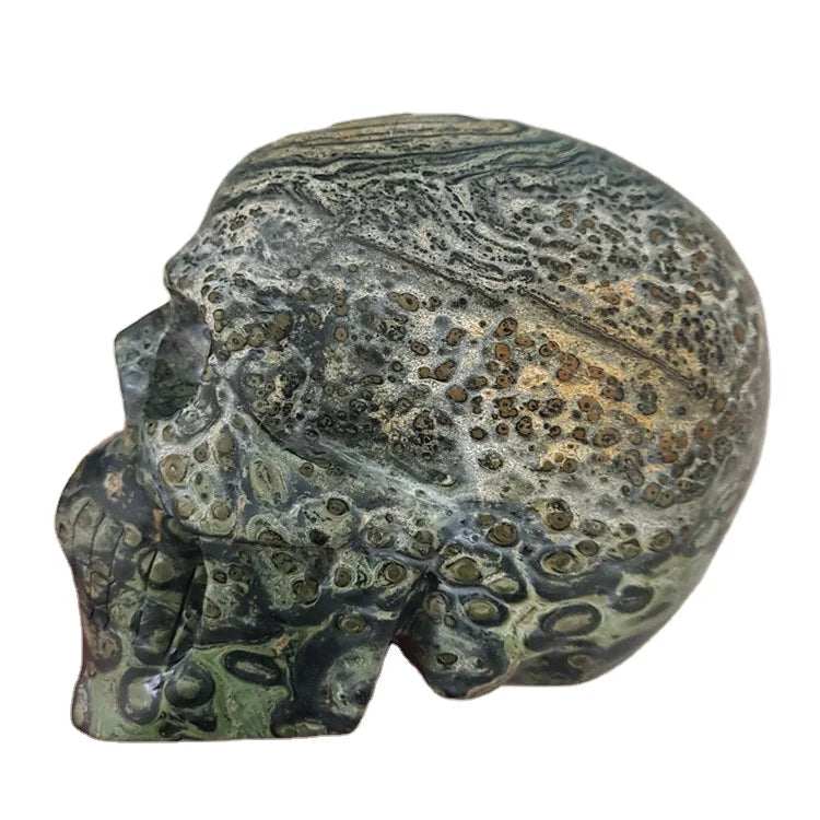 Natural Gem Kambaba jasper Skulls Carved Gemstone Semiprecious Stone Skulls Carving Wholesale
