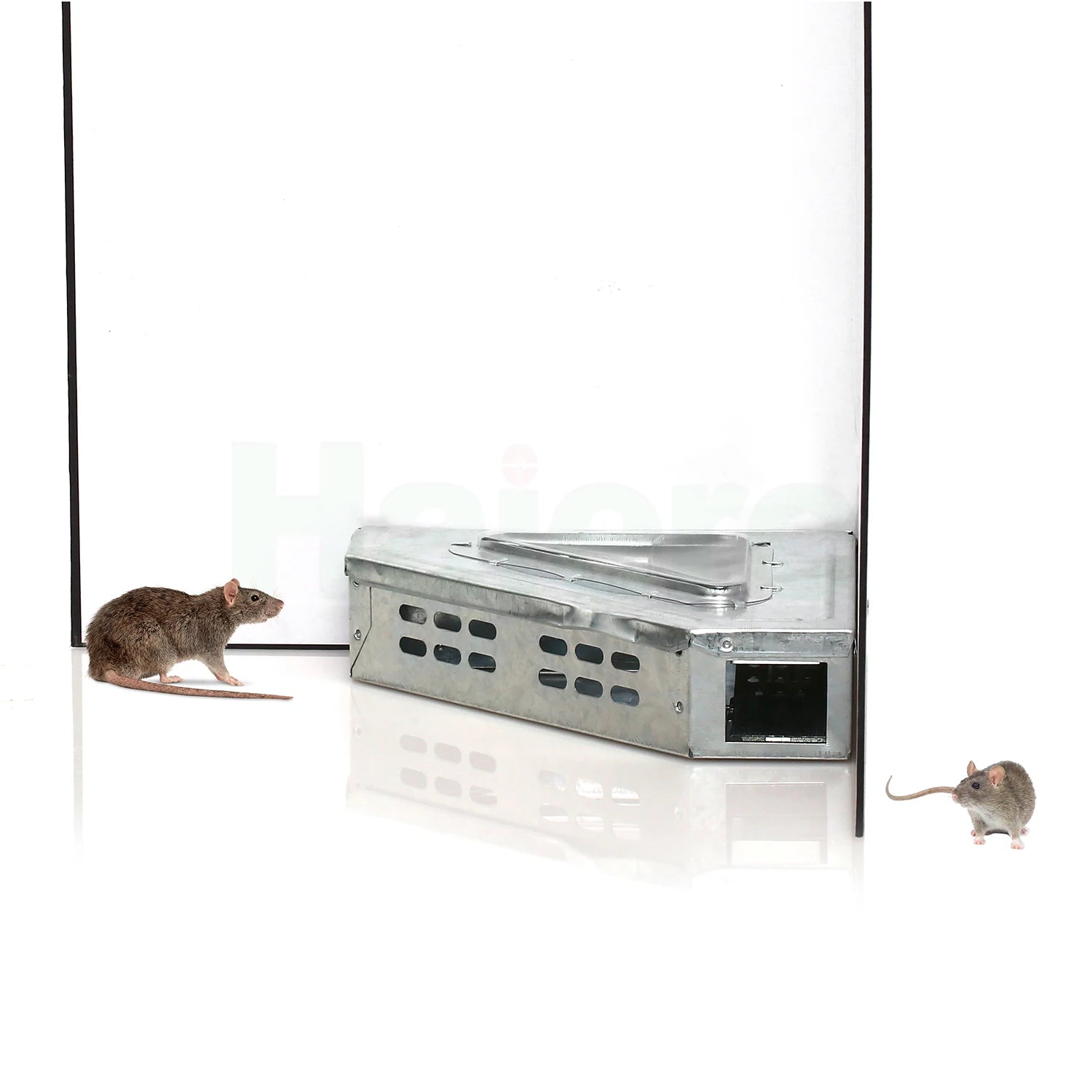 Haierc Easy to Use Humane Live Multi Catch Mouse Traps