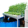 Aquaponics Fish Farms Tanks Greenhouse Hydroponics Aquaponics Growing System Fish Tank for Fish and Vegetable