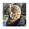 Sample Support Custom Winter Aviator Ushanka Hat with Warm Rabbit Fur Trim Earflap Russian Style for Outdoor with Logo Plush