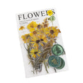 40pieces/pack Flower Sticker Package Dried Flower Decorative Collection Series Fire Paint Plant Journal Material Collage 8Models