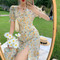 Floral Puff Sleeve V-neck Woven Chiffon A-Line Knee-Length 100% Polyester Slim & Breathable Casual Dress-Chinoiserie