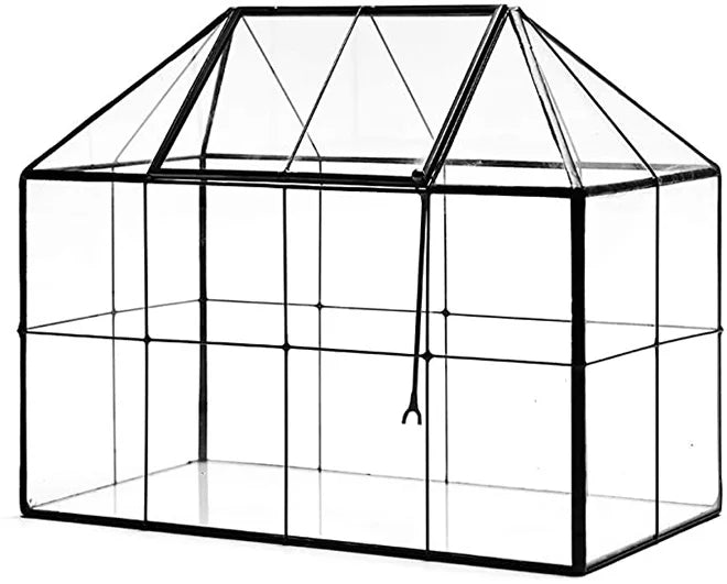 Succulent Plant Terrarium House Shape Glass Greenhouse with Lid Display Box for Garden Cacti Air Plant Gift