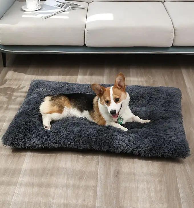 Luxury Large Size Soft Plush Faux Fur Pet Cushion Bed with Solid Pattern Design Beds & Accessories for Dogs and Cats