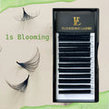 Dark Lash Trays Wholesale Private Label Lash Extensions Supplies Easy Fan Volume Lashes