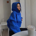 Winter Baggy Gym Pullover Cropped Hoodies Women High Quality Oversized Sports Fleece Hoodie Women Streetwear
