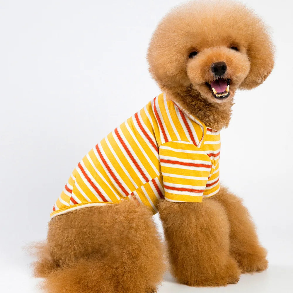 Classic Solid Dog T-Shirts Eco-Friendly Polyester Summer Spring Outdoor Dog Apparel