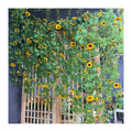 Factory Direct Wire Vine Sunflower Wall Hanging Artificial Vine  Wedding Decoration