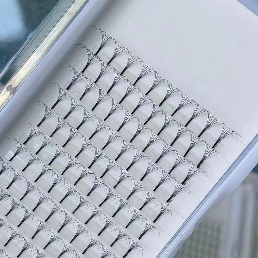 Flourishing Lashes Handmade 5D 6D Premade Fans Eyelash Extensions Korean PBT Fibers 0.07 C D for 8-15mm Long Stem Pre Fanned No