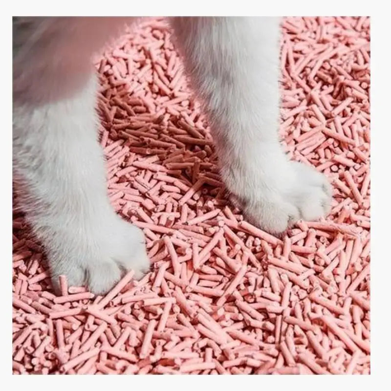 Hot Selling 100% Eco-Friendly Crushed Tofu Cat Litter with Montmorillonite Low Dust & Fast Clumping Features