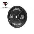 Pilot Sports Hot Sale Solid GYM Cast Iron Barbell Weight Plates Black Painted Big Hole Free Weights Four Ribs Dumbbell Plate