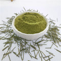 Wholesale Organic Pine Needle Powder for Tea