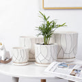 New Design Orchid Nordic Style Flower Pot with Tray Ceramic Plant Pot Set with Drainage Hole 3pcs for Home and Garden Nursery