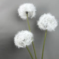 Wedding Hall Floral Arrangement Flowers Decorative Faux White Giant Lovely Artificial Dandelion Flower