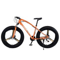 Factory Direct 26-Inch Beach Speed Mountain Bicycle with 21-Speed Steel Fork Disc Brake and Fat Tire Wholesale