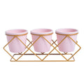 Large Metal Decorative Flower Pot Holders Garden Indoor Plants New Year's Nursery Restaurant Planter Desktop Desktop Planter