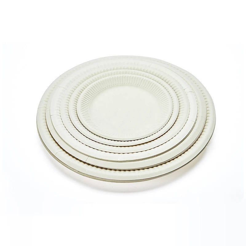 Hot Sale Cheap Price Natural Disposable Bagasse Paper Plate 10 Inch for Wholesale